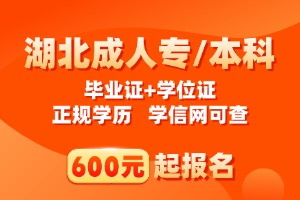 武汉纺织大学高等学历继续教育招生简章