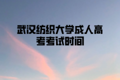 武汉纺织大学成人高考考试时间是什么时候？