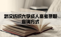 武汉纺织大学成人高考录取查询方式是怎样的？