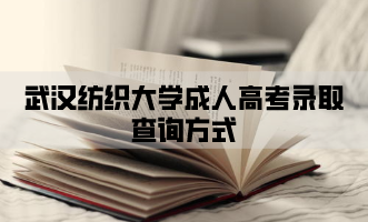 武汉纺织大学成人高考录取查询方式