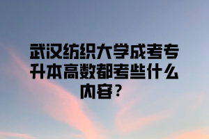 武汉纺织大学成考专升本高数都考些什么内容？