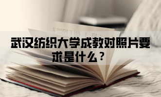 武汉纺织大学成教对照片要求是什么？