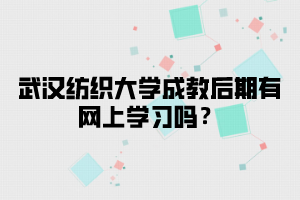 武汉纺织大学成教后期有网上学习吗？