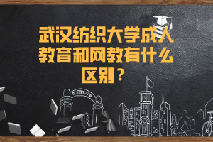 武汉纺织大学成人教育和网教有什么区别？