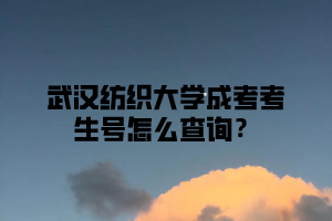 武汉纺织大学成考考生号怎么查询？