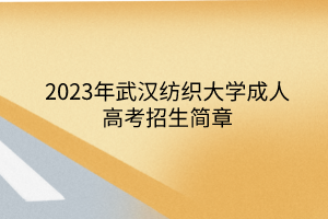 2023年武汉纺织大学成人高考招生简章